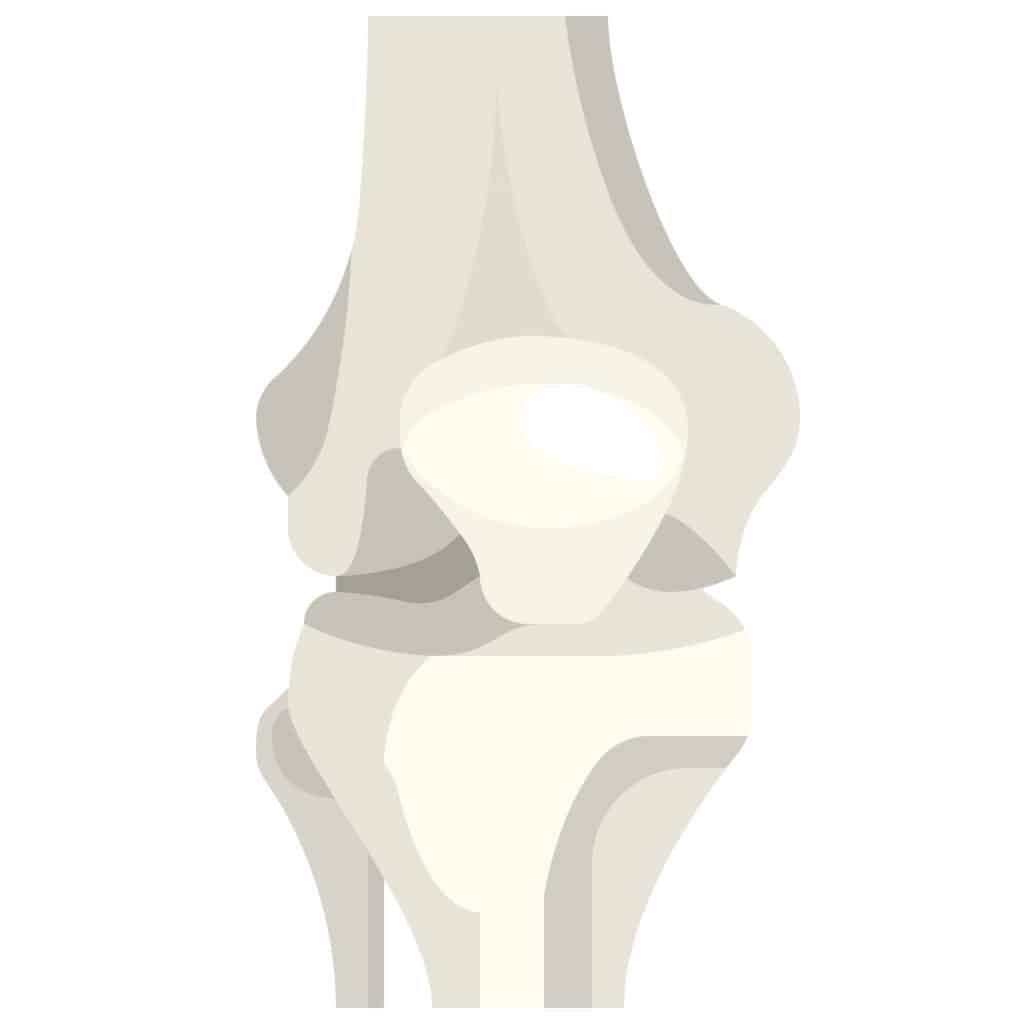 Knee replacement surgery and physical therapy 