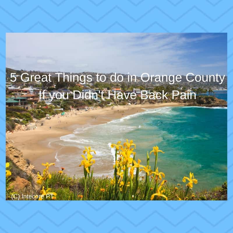5 Great Things To Do In Orange County If You Didn’t Have Back Pain - Five Great Things to do in Orange County If you Didnt Have Back Pain 2