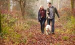 Why It’s Vital To Keep Active In the Fall & Winter, And Tips To Make It Easier - Fotolia 66129153 Subscription Monthly M