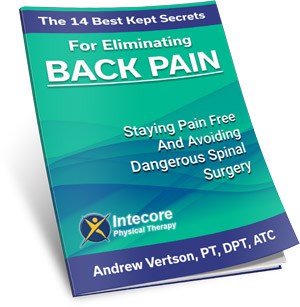 Free Report - Back Pain - free report cover back pain