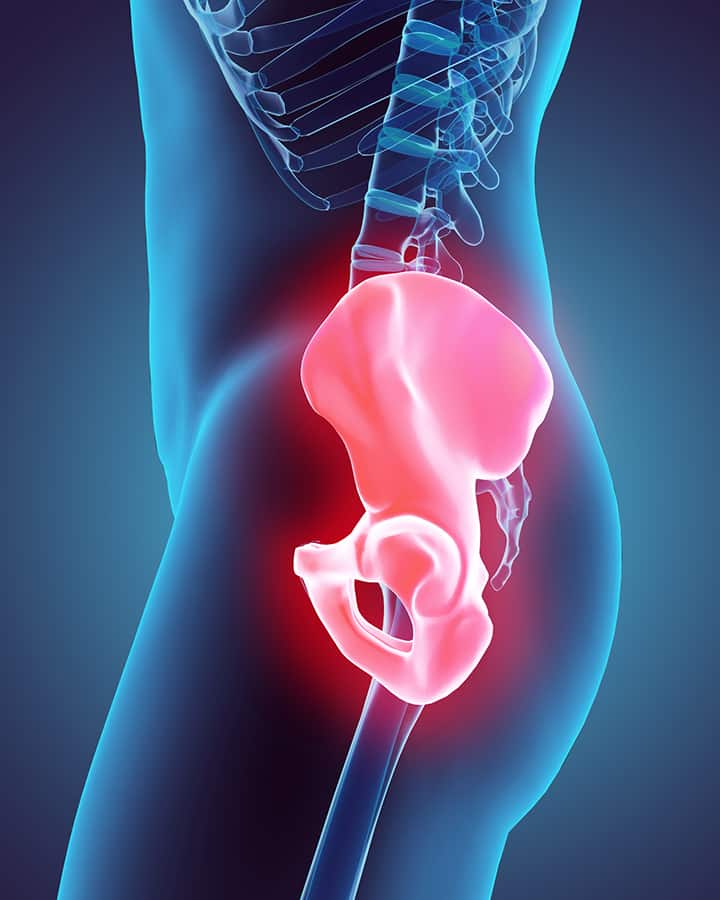 the pelvic bones can benefit from hip dips